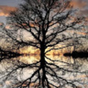 Meet your Posher, Nathan